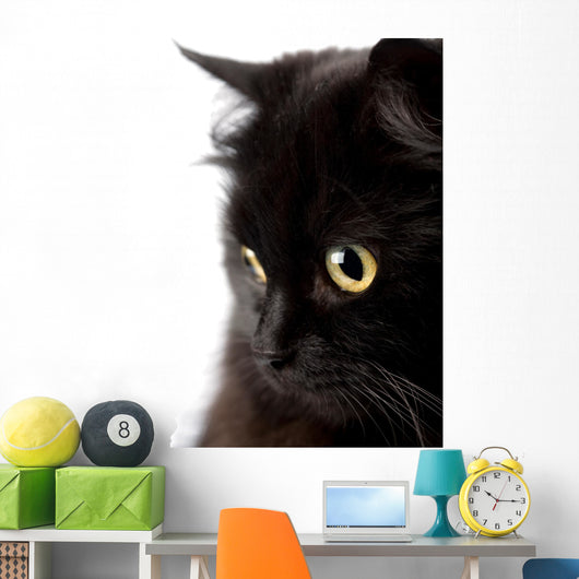face of cute black cat Wall Decal