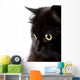 face of cute black cat Wall Decal