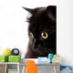 face of cute black cat Wall Decal