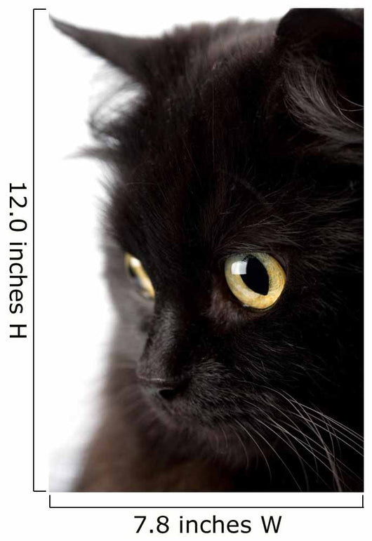 face of cute black cat Wall Decal
