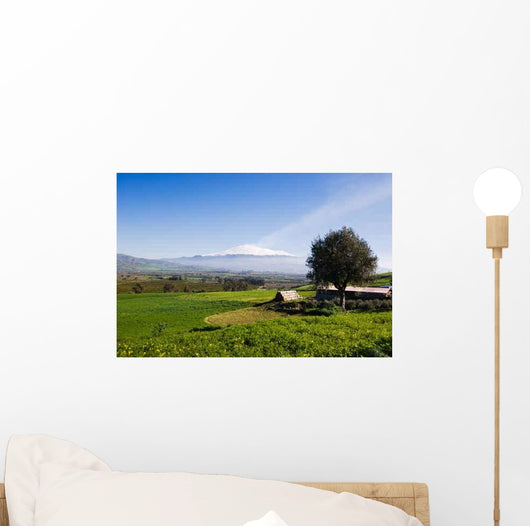 Rural Landscape and Snowy Wall Decal