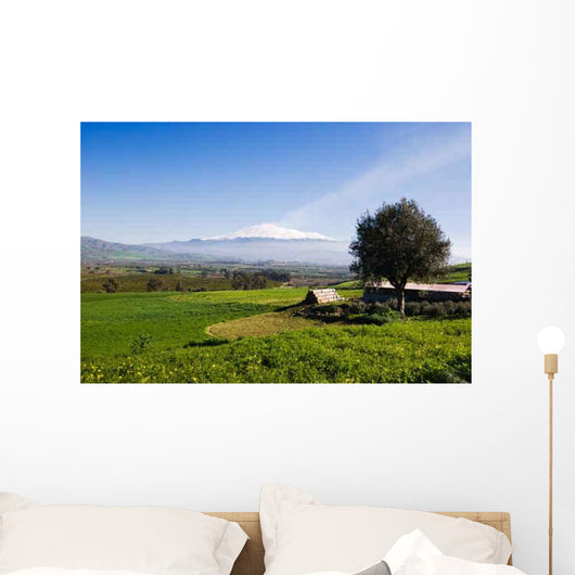 Rural Landscape and Snowy Wall Decal