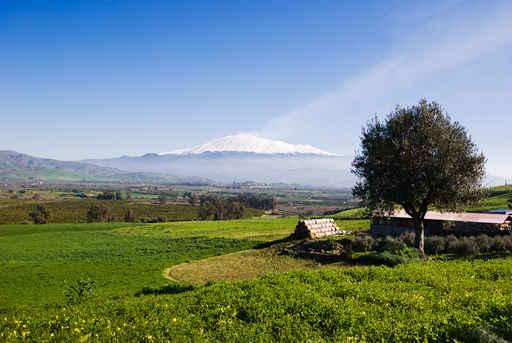 Rural Landscape and Snowy Wall Decal