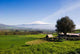 Rural Landscape and Snowy Wall Decal