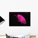 Pink Jellyfish Wall Mural