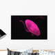 Pink Jellyfish Wall Mural