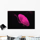 Pink Jellyfish Wall Mural