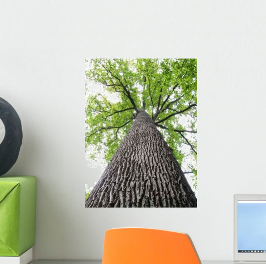 Lined Troncais Wall Decal