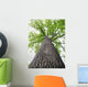 Lined Troncais Wall Decal