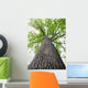 Lined Troncais Wall Decal