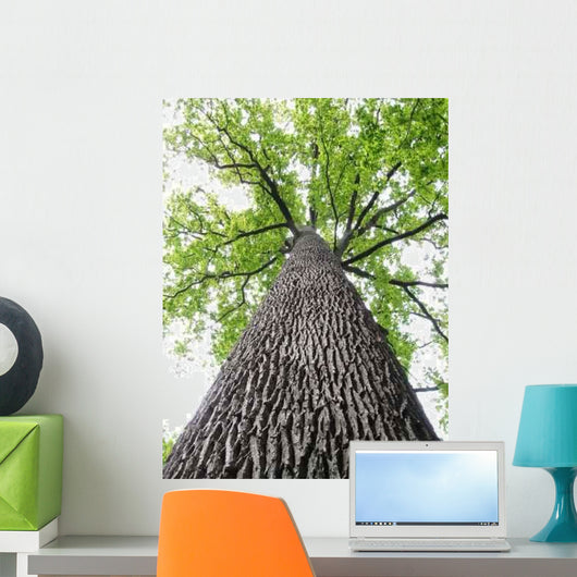 Lined Troncais Wall Decal