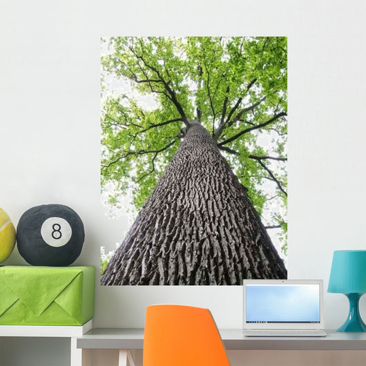 Lined Troncais Wall Decal