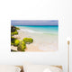 caribbean coast, Aruba Wall Mural