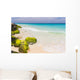 caribbean coast, Aruba Wall Mural