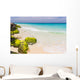caribbean coast, Aruba Wall Mural