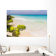 caribbean coast, Aruba Wall Mural