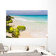 caribbean coast, Aruba Wall Mural
