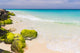 caribbean coast, Aruba Wall Mural