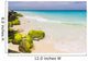 caribbean coast, Aruba Wall Mural