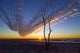 Sunshine Baltic Sea Wall Decal