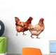 Hens White Wall Decal