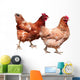 Hens White Wall Decal