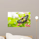 butterfly feeding on a flower Wall Mural