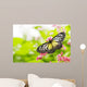 butterfly feeding on a flower Wall Mural