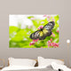 butterfly feeding on a flower Wall Mural