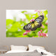 butterfly feeding on a flower Wall Mural