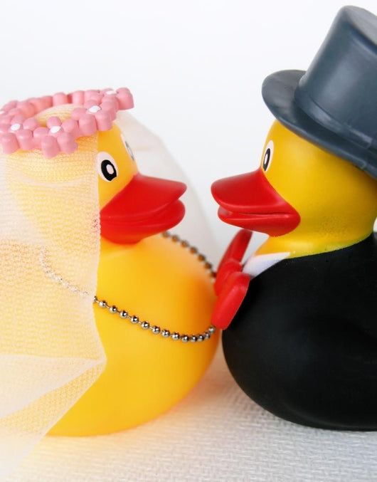 Wedding Ducks Wall Decal
