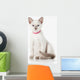 Kitten. Thai cat on white background Wall Decal