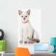 Kitten. Thai cat on white background Wall Decal