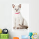 Kitten. Thai cat on white background Wall Decal