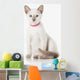 Kitten. Thai cat on white background Wall Decal
