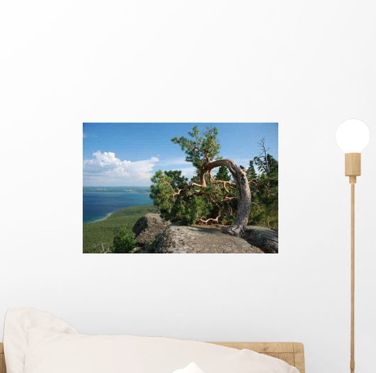 Arc Tree Landscape Wall Decal