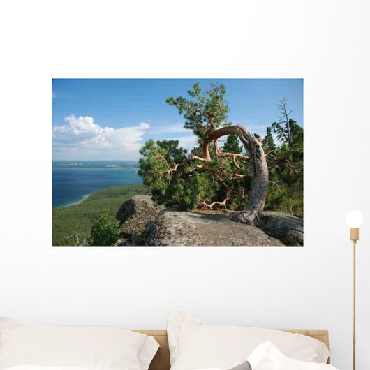 Arc Tree Landscape Wall Decal