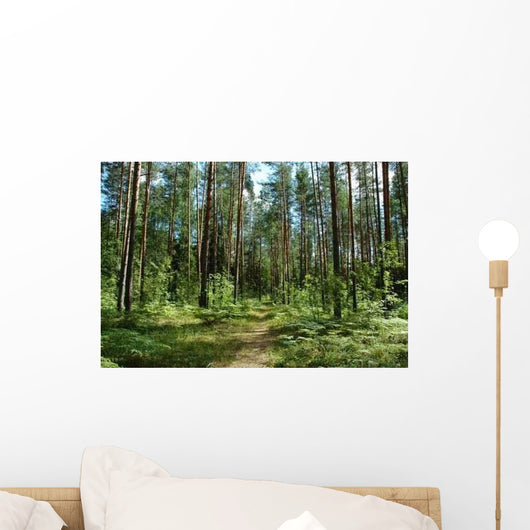 Forest Path Wall Decal