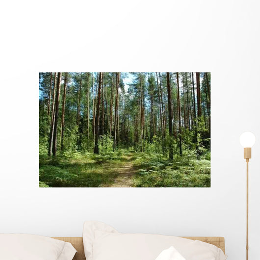 Forest Path Wall Decal