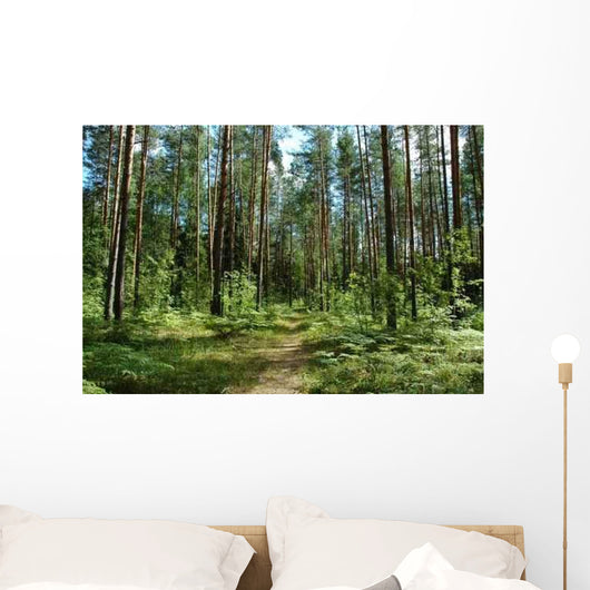 Forest Path Wall Decal