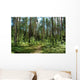 Forest Path Wall Decal