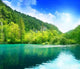 Lake Deep Forest Wall Decal Design 6