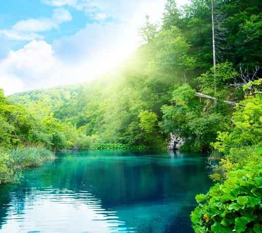 Lake Deep Forest Wall Decal Design 5