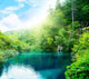 Lake Deep Forest Wall Decal Design 5