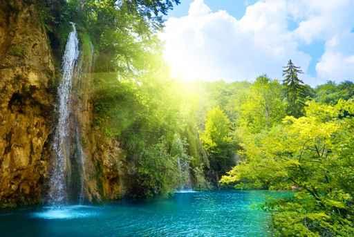 Waterfalls Forest Wall Decal