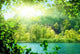 Lake Deep Forest Wall Decal Design 4