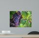Real Grape Wall Mural