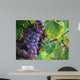 Real Grape Wall Mural