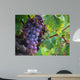 Real Grape Wall Mural