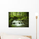 waterfall stream Wall Mural